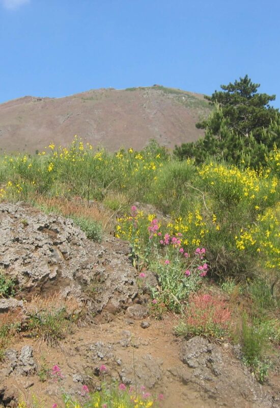 Attraverso la Riserva Tirone